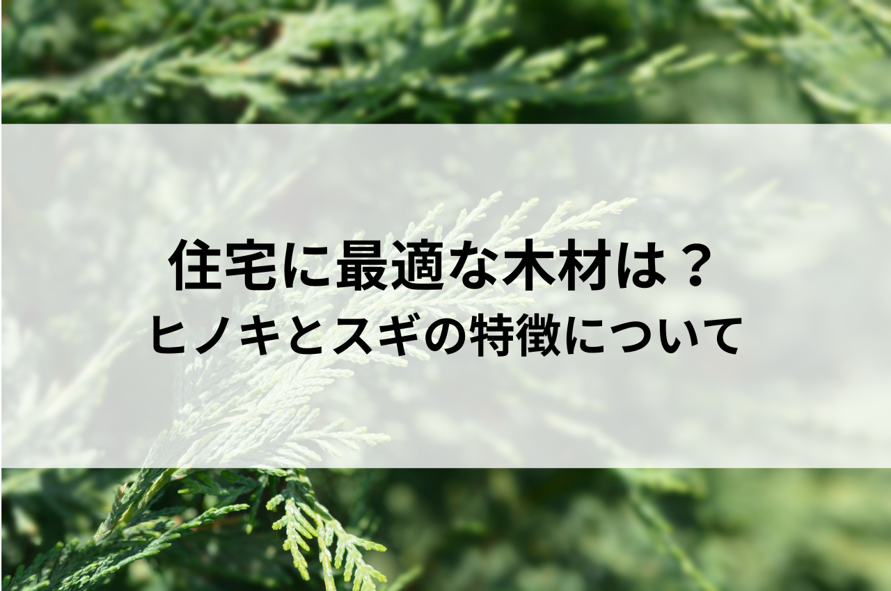 住宅に最適な木材は？ヒノキとスギの特徴について解説