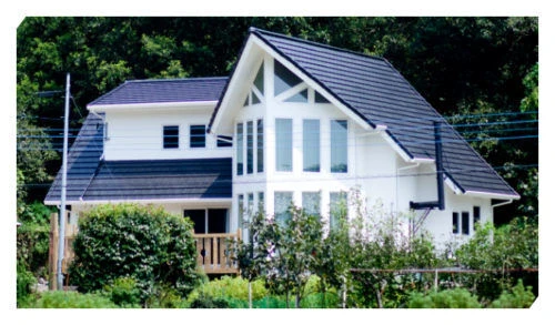 housemain1